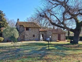 Casale Strada Vicinale dei Lupaioli, Campagnatico — foto 69 di 110
