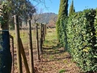 Casale Strada Vicinale dei Lupaioli, Campagnatico — foto 63 di 110