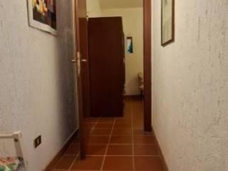 Casale Strada Vicinale dei Lupaioli, Campagnatico — foto 43 di 110