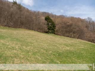 Rustico Località Roncoi di Fuori 47, San Gregorio nelle Alpi