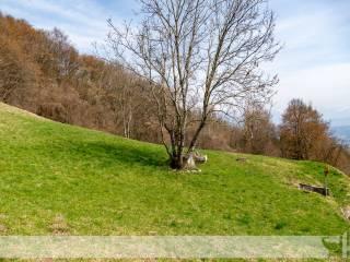 Rustico Località Roncoi di Fuori 47, San Gregorio nelle Alpi — foto 3 di 29