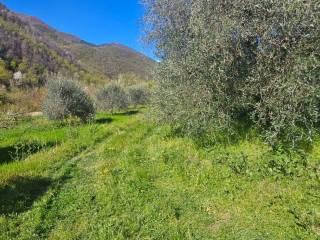 Villa unifamiliare Località  Piani San Pietro 2, Pieve di Teco — foto 9 di 63
