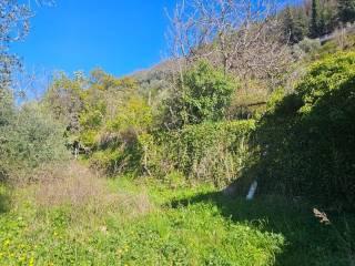 Villa unifamiliare Località  Piani San Pietro 2, Pieve di Teco — foto 20 di 63