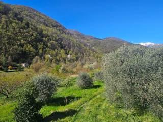 Villa unifamiliare Località  Piani San Pietro 2, Pieve di Teco — foto 10 di 63