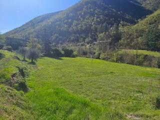 Villa unifamiliare Località  Piani San Pietro 2, Pieve di Teco — foto 7 di 63