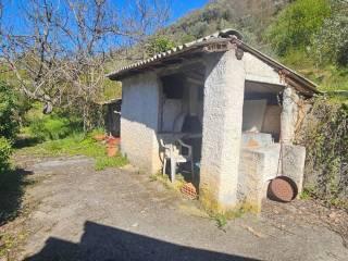Villa unifamiliare Località  Piani San Pietro 2, Pieve di Teco — foto 26 di 63