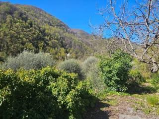 Villa unifamiliare Località  Piani San Pietro 2, Pieve di Teco — foto 8 di 63