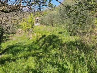 Villa unifamiliare Località  Piani San Pietro 2, Pieve di Teco — foto 45 di 63