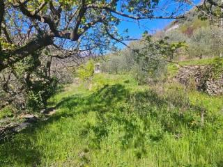 Villa unifamiliare Località  Piani San Pietro 2, Pieve di Teco — foto 12 di 63
