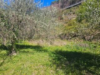 Villa unifamiliare Località  Piani San Pietro 2, Pieve di Teco — foto 24 di 63