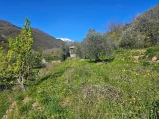 Villa unifamiliare Località  Piani San Pietro 2, Pieve di Teco — foto 19 di 63