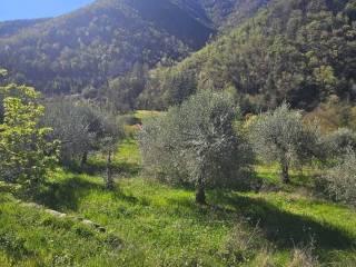 Villa unifamiliare Località  Piani San Pietro 2, Pieve di Teco — foto 14 di 63