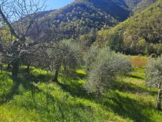 Villa unifamiliare Località  Piani San Pietro 2, Pieve di Teco — foto 11 di 63