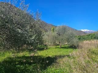 Villa unifamiliare Località  Piani San Pietro 2, Pieve di Teco — foto 33 di 63