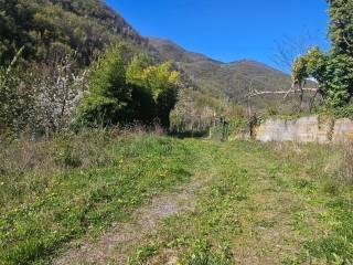 Villa unifamiliare Località  Piani San Pietro 2, Pieve di Teco — foto 53 di 63