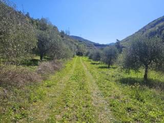 Villa unifamiliare Località  Piani San Pietro 2, Pieve di Teco — foto 63 di 63