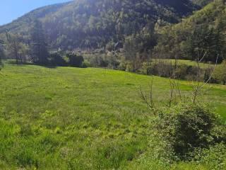 Villa unifamiliare Località  Piani San Pietro 2, Pieve di Teco — foto 43 di 63