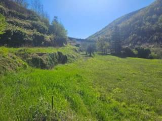 Villa unifamiliare Località  Piani San Pietro 2, Pieve di Teco — foto 59 di 63