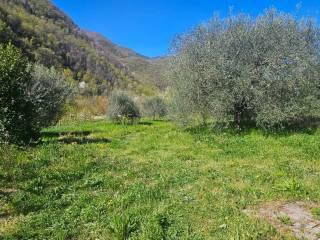 Villa unifamiliare Località  Piani San Pietro 2, Pieve di Teco — foto 42 di 63