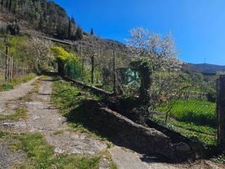 Villa unifamiliare Località  Piani San Pietro 2, Pieve di Teco — foto 29 di 63