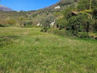 Villa unifamiliare Località  Piani San Pietro 2, Pieve di Teco — foto 62 di 63