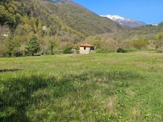 Villa unifamiliare Località  Piani San Pietro 2, Pieve di Teco — foto 61 di 63