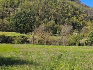 Villa unifamiliare Località  Piani San Pietro 2, Pieve di Teco — foto 21 di 63