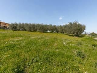 Terratetto unifamiliare 250 m², buono stato, Centro, Capannoli — foto 18 di 31