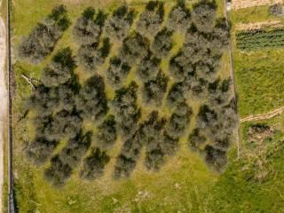Terratetto unifamiliare 250 m², buono stato, Centro, Capannoli — foto 25 di 31