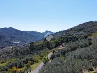 Rustico via Monsignor Bartolomeo Tornatore 58, Dolceacqua — foto 17 di 17