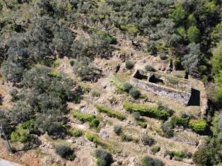 Rustico via Monsignor Bartolomeo Tornatore 58, Dolceacqua — foto 8 di 17