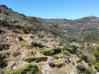 Rustico via Monsignor Bartolomeo Tornatore 58, Dolceacqua — foto 9 di 17