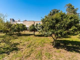 Terratetto unifamiliare via Santa Marina, Specchia-gallone, Minervino di Lecce — foto 9 di 39