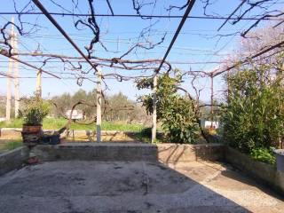 Villa unifamiliare Contrada Colle dell'Orso 91, Colle dell'Orso, Campobasso — foto 7 di 17