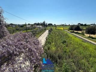 Villa unifamiliare Sp361, Parabita — foto 11 di 16