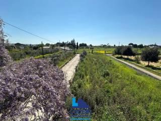 Villa unifamiliare Sp361, Parabita — foto 15 di 16