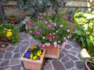 Bilocale via dei Colli 6, Paese Alto, Ponterotto, San Benedetto del Tronto — foto 35 di 35