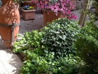 Bilocale via dei Colli 6, Paese Alto, Ponterotto, San Benedetto del Tronto