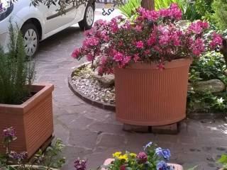 Bilocale via dei Colli 6, Paese Alto, Ponterotto, San Benedetto del Tronto — foto 27 di 35