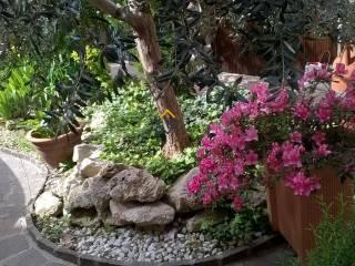 Bilocale via dei Colli 6, Paese Alto, Ponterotto, San Benedetto del Tronto — foto 13 di 35