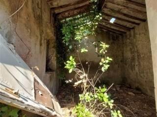 Rustico Località La Chiusa, Rio — foto 10 di 12