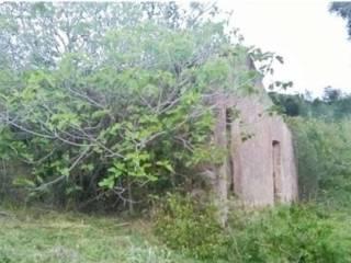 Rustico Località La Chiusa, Rio — foto 2 di 12