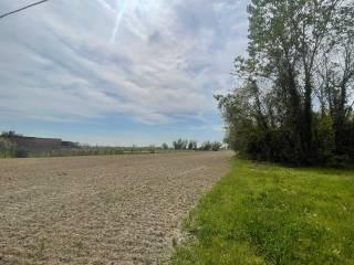 Terratetto unifamiliare via barchessa, Guarda, Riva del Po