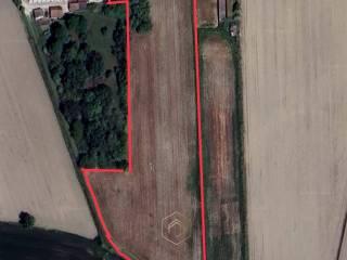 Terratetto unifamiliare via barchessa, Guarda, Riva del Po — foto 3 di 12