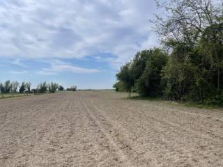 Terratetto unifamiliare via barchessa, Guarda, Riva del Po — foto 12 di 12