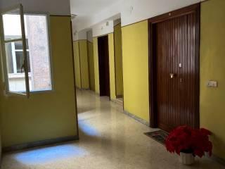 Quadrilocale via Alfonso Milani 2, Guarcino — foto 13 di 17