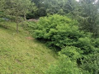 Villa unifamiliare via Madonnina, Barni — foto 7 di 32