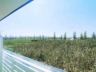Trilocale viale Giovanni Beltrame 1, Montenero di Bisaccia — foto 6 di 25