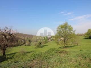 Casale via dei Gavi, Vicoforte — foto 18 di 41