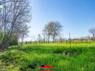 Cascina Strada Raffo 32, Busca — foto 10 di 36